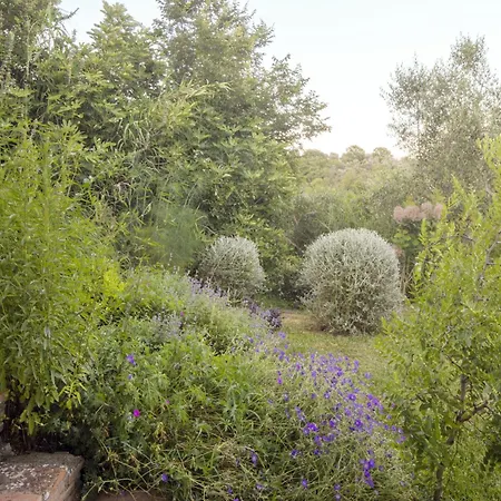 Sant'anselmo Bagnoregio