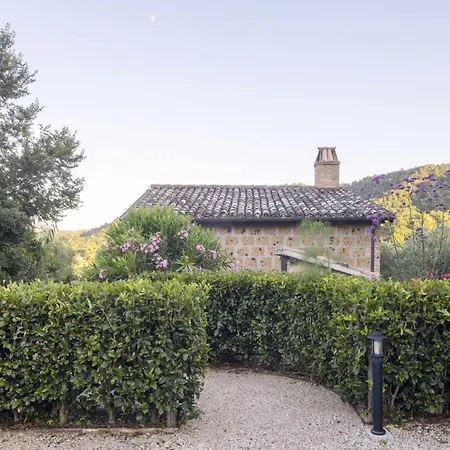 Sant'anselmo *